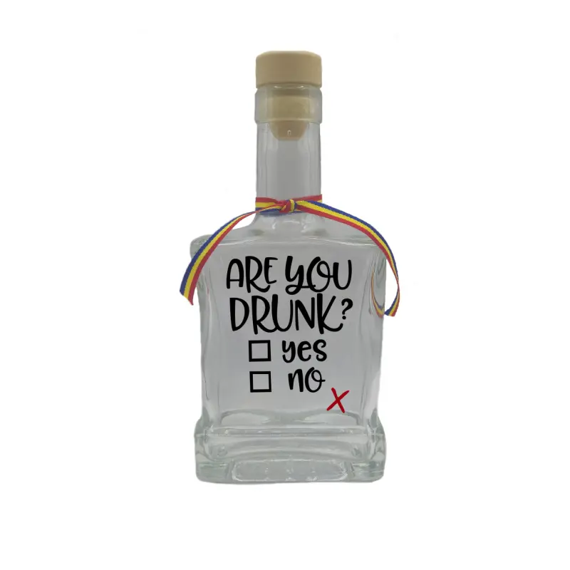 Are you drunk, sticla cu mesaj plata, 250 ml, model divgs179 01